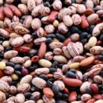 beans healthy diet benefits