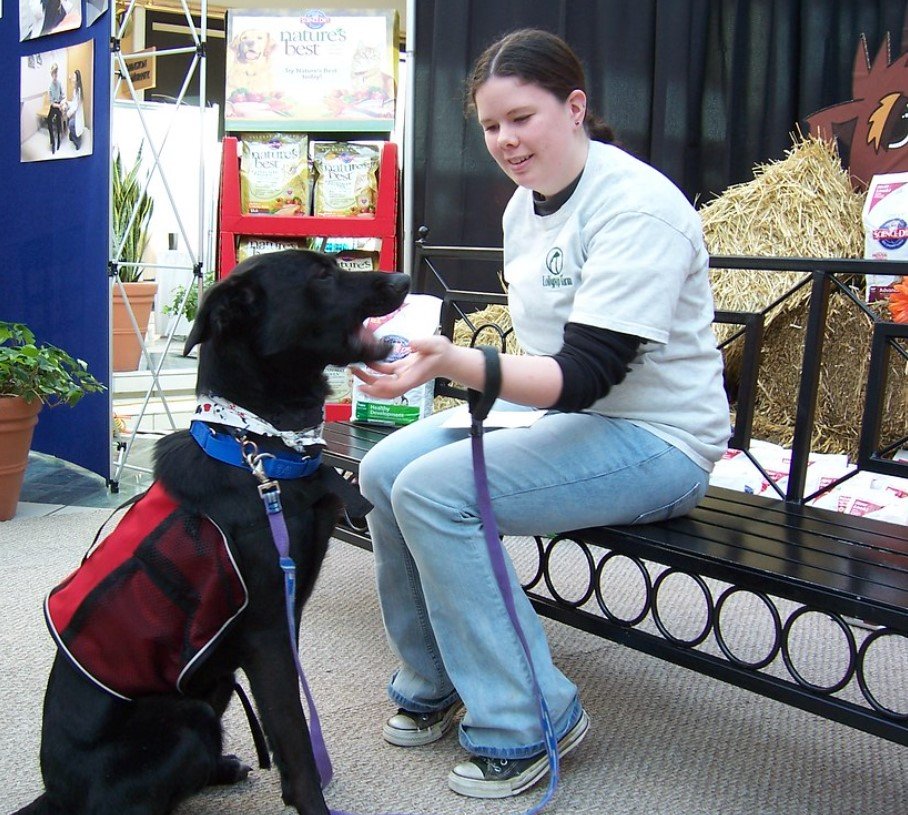 Bristol Humane Society Spay Neuter Clinic