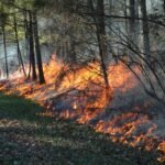champion lakes bushfire evacuation Perth