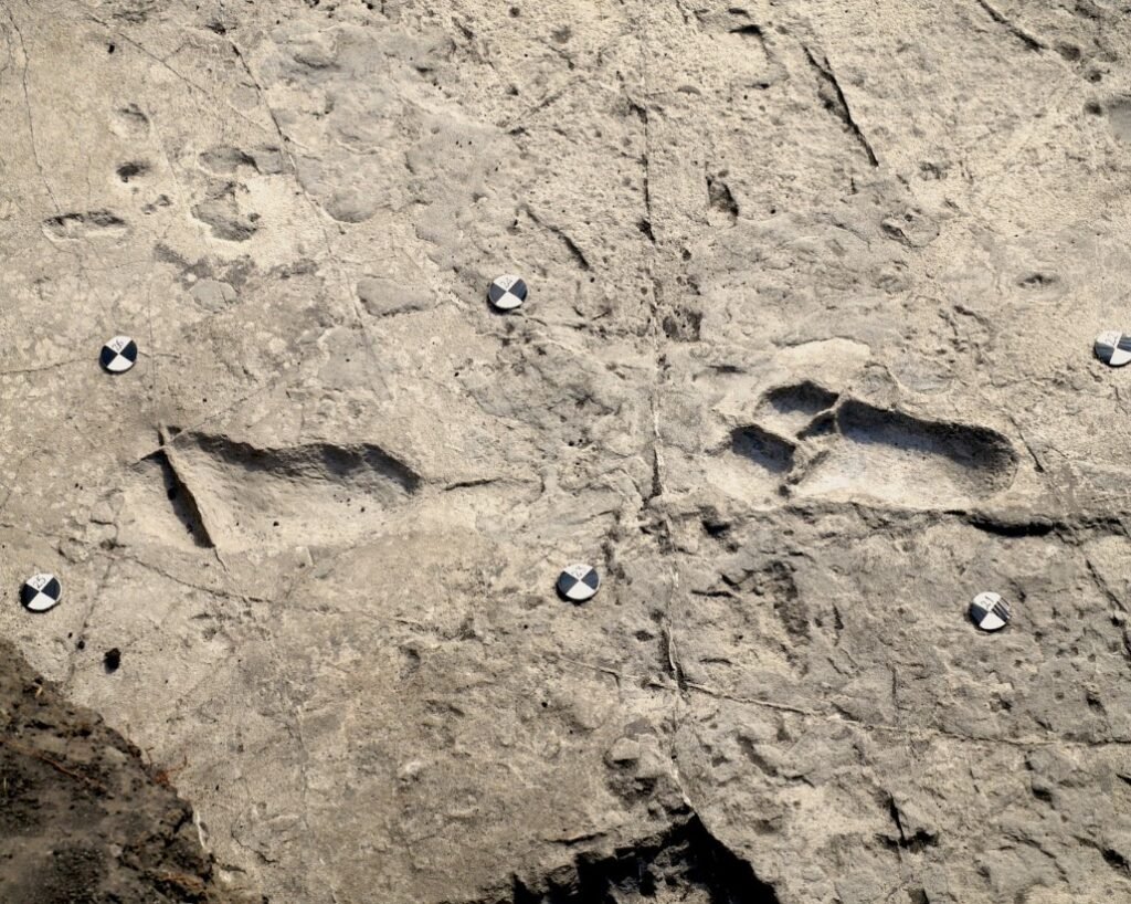 fossilized footprints Turkana Basin