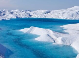 arctic melting glaciers impact