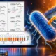 Asobiotics resistance peptide door Gram-negative bacteria