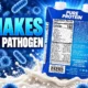 sugar rich foods antibiotics gut microbiome transplant patients
